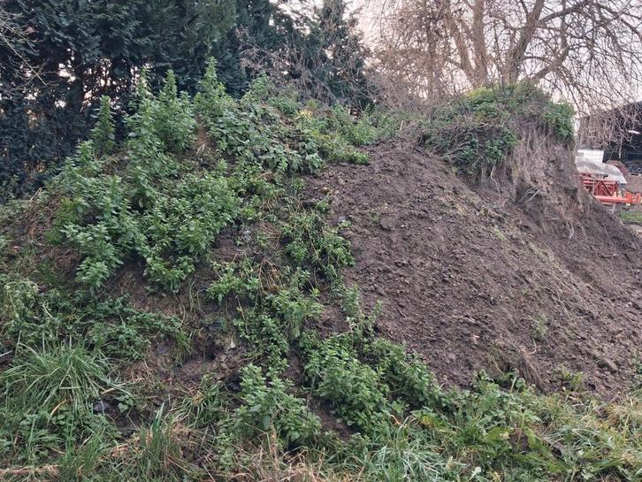 Bonne terre à vendre, Tuin en Terras, Aarde en Mest