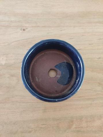 Pot rond bonsai beschikbaar voor biedingen