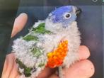 Lori van de blauwe bergen, Dieren en Toebehoren, Vogels | Parkieten en Papegaaien, Meerdere dieren, Papegaai, Pratend
