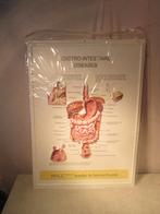 Leuke Schoolplaat in PVC - Spijsverteringsstelsel - 73x53, Antiek en Kunst, Ophalen of Verzenden, Natuur en Biologie