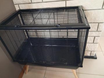 Kooi knaagdieren beschikbaar voor biedingen
