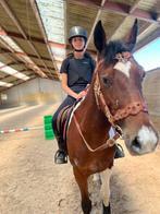 Pony, Dieren en Toebehoren, Zo goed als nieuw