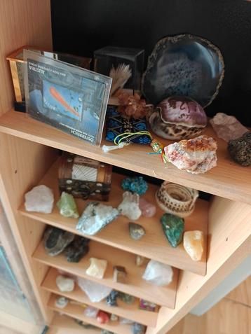 Verzameling mineralen en fossielen  beschikbaar voor biedingen