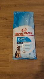 Royal canin puppy maxi, Dieren en Toebehoren, Dierenvoeding, Ophalen