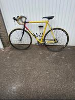 Giant heren sportfiets, Fietsen en Brommers, Ophalen, Giant