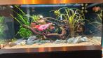 Oase highline 200 overcompleet, Dieren en Toebehoren, Ophalen, Zo goed als nieuw, Leeg aquarium