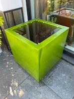 Polyester Bloembak Domani 60x60x60, Ophalen, Kunststof, Minder dan 60 cm, Vierkant