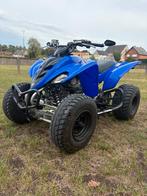 Yamaha raptor 250cc, 250 cc, 11 kW of minder, 1 cilinder