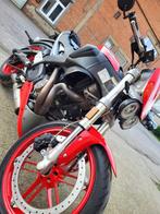 Buell xb12ss, Motoren, Motoren | Buell, Particulier, Overig