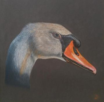 Pasteltekening zwaan, Enlèvement