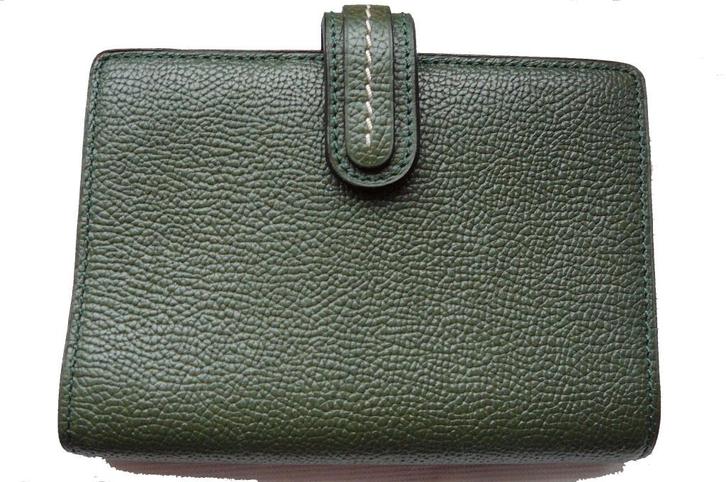 Agenda vert de Delvaux Modula PM, Divers, Agendas, Comme neuf, Enlèvement ou Envoi