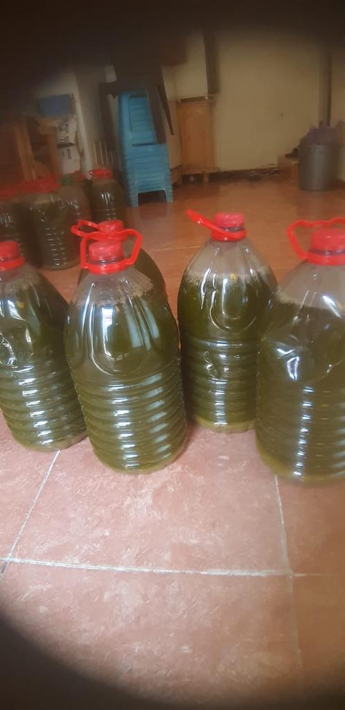 Verse olijfolie, Diversen, Levensmiddelen, Ophalen