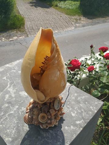 grote sierschelp fantatie met bootje en schelpen versiert beschikbaar voor biedingen
