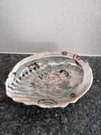Prachtige grote abalone schelp, 16cm x 13cm, Enlèvement ou Envoi