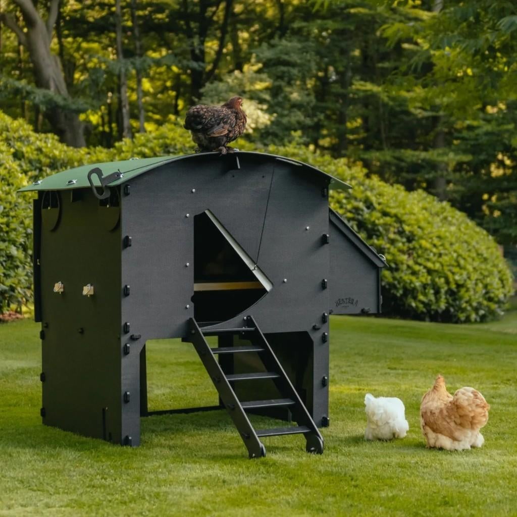 Kippenhok: Nestera Hoog model, Large: OP VOORRAAD, Dieren en Toebehoren, Ophalen of Verzenden, Nieuw, Kippenhok of Kippenren