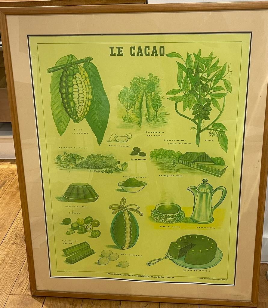 Tableau Vintage "Le Cacao" - Deyrolle, Enlèvement ou Envoi