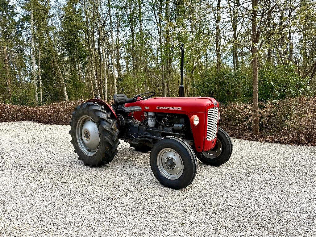 Massey Ferguson 35 dubbele koppeling (1958), Zakelijke goederen, Landbouw | Tractoren, Ophalen, Gebruikt, Tot 80 Pk, Massey Ferguson