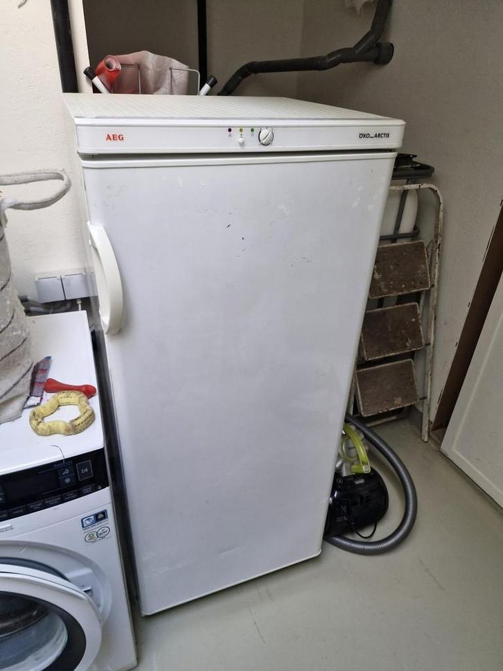 Diepvries, Electroménager, Congélateurs, Utilisé, Autoportant, Congélateur, Congélateur, 140 à 160 cm, 60 à 90 cm, Enlèvement