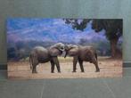 Wildlife foto elephants entwined, Antiquités & Art, Art | Dessins & Photographie, Enlèvement