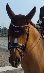 Bijna nieuw JUDI hoofdstel, Dieren en Toebehoren, Ophalen of Verzenden, Zo goed als nieuw