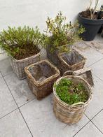 Paniers en osier, Carré, 30 à 60 cm, Enlèvement, Utilisé