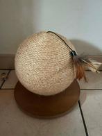 Krabbol kat, Dieren en Toebehoren, Ophalen