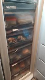 Congélateur, AEG, 229l, Electroménager, Congélateurs, Moins de 60 cm, Congélateur, Classe énergétique A ou plus économe, 160 cm ou plus