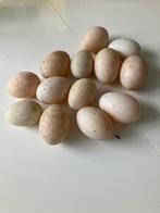 Verse eenden eieren te koop, Ophalen