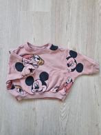 Trui, Kinderen en Baby's, Babykleding | Maat 80, Ophalen of Verzenden, Zo goed als nieuw, Zara, Truitje of Vestje
