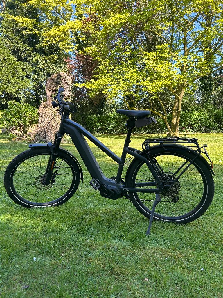 Chargeur Riese & Muller 4, Vélos & Vélomoteurs, Vélos électriques, Utilisé, Riese & Müller, Moins de 47 cm, 50 km par batterie ou plus