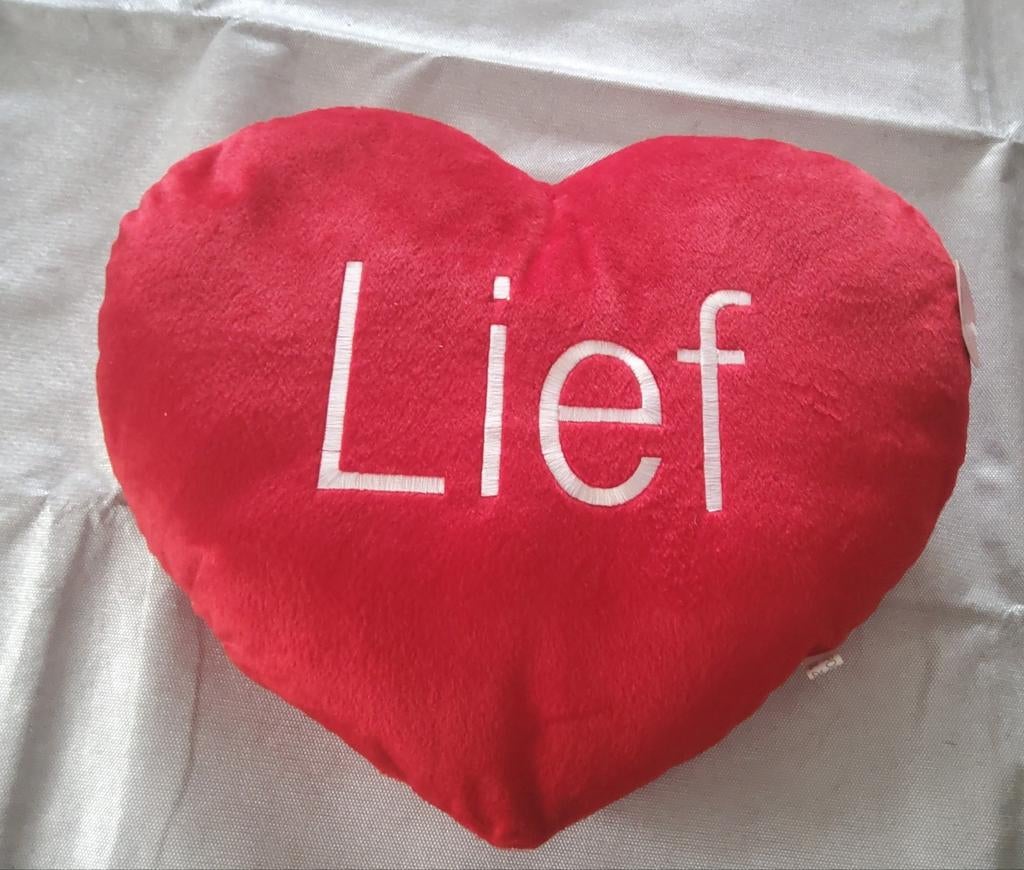 Hartvormig kussen, Ophalen, Nieuw, Rood, Hartvormig