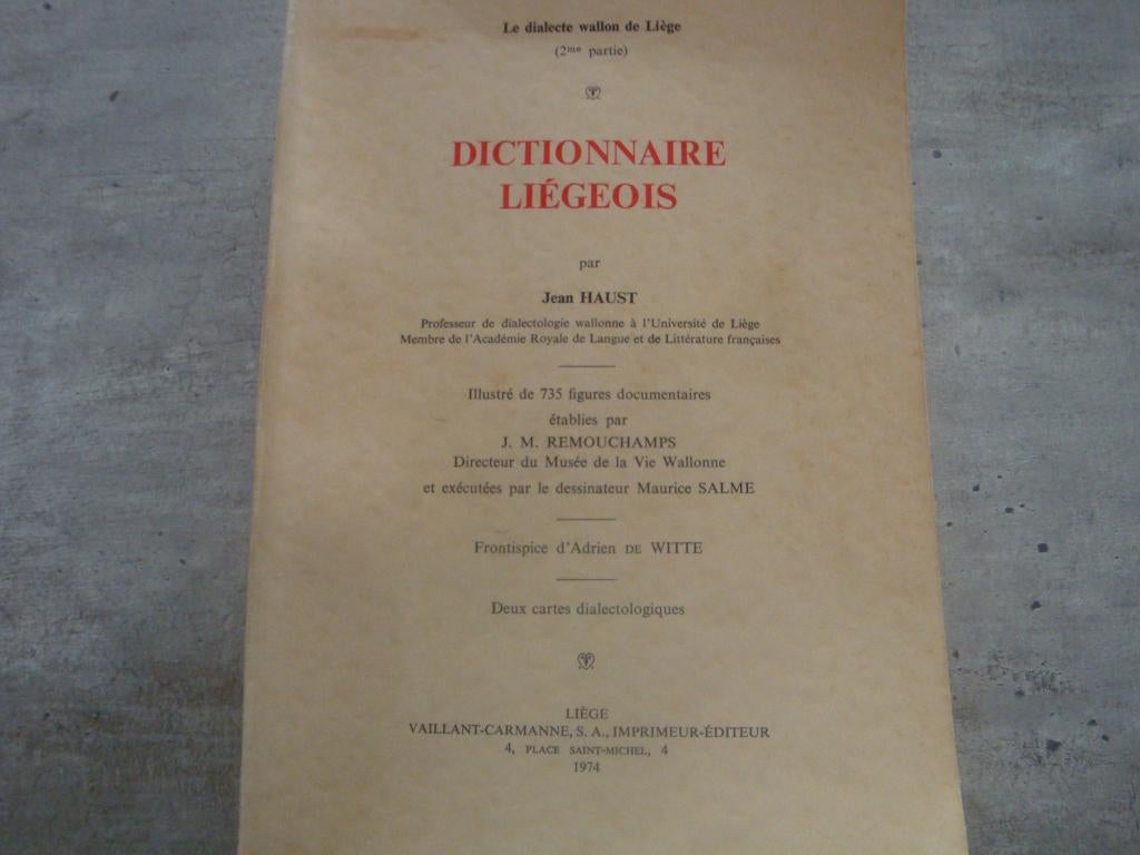 DICTIONNAIRE LIEGEOIS, Livres, Enlèvement ou Envoi, Utilisé