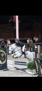 Toffe spring pony, Dieren en Toebehoren, Ruin, E pony (1.48m - 1.57m), Springpony, 11 jaar of ouder