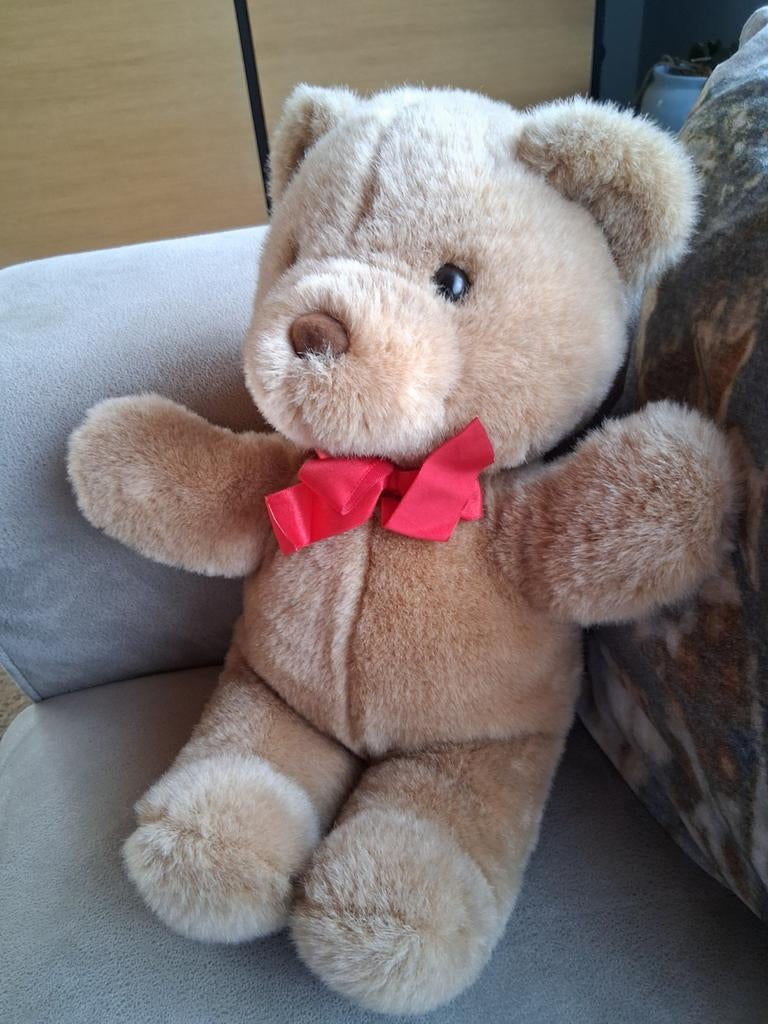 Knuffel beer, Enlèvement ou Envoi