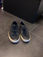 Ralph Lauren schoenen, Vêtements | Hommes, Chaussures, Enlèvement ou Envoi, Chaussures à lacets, Comme neuf, Bleu