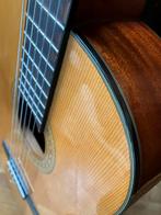 Motion gitaar, Ophalen, Gebruikt, Klassieke of Spaanse gitaar