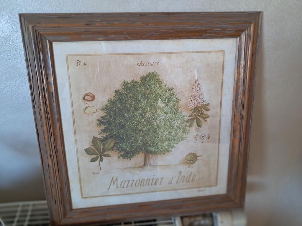 Cadre decoratif, Minder dan 50 cm, Verzenden, Nieuw, Minder dan 50 cm