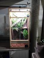 Ingerichte osb terrarium te koop, Ophalen, Zo goed als nieuw, Terrarium of Paludarium