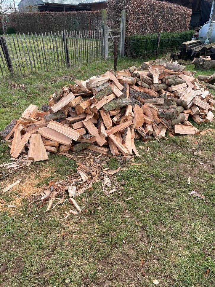 Brandhout, Jardin & Terrasse, Bois de chauffage, Bûches, Autres essences de bois, 6 m³ ou plus, Enlèvement