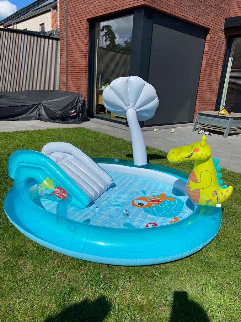 Kinderzwembad met glijbaan en krokodil, Ophalen, Zo goed als nieuw