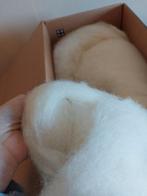 Polaire cardée Nature 1 kg pour feutrage à l'aiguille, Hobby & Loisirs créatifs, Feutre, Enlèvement, Neuf, Feutres en vrac, Feutre de laine