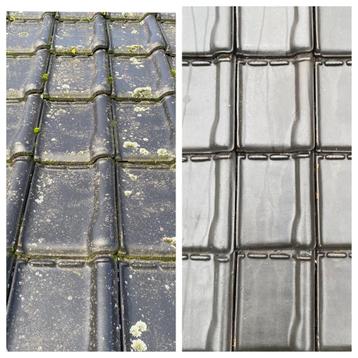 Last van mos of groene aanslag op uw dak? Tijd voor actie! beschikbaar voor biedingen