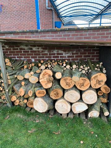 Hout beschikbaar voor biedingen