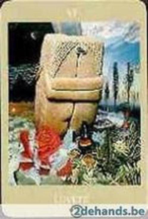 symboolkaarten Voyager Tarot kaarten, Hobby en Vrije tijd, Gezelschapsspellen | Kaartspellen, Nieuw, Ophalen of Verzenden
