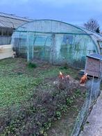 Tunnelserre, Enlèvement