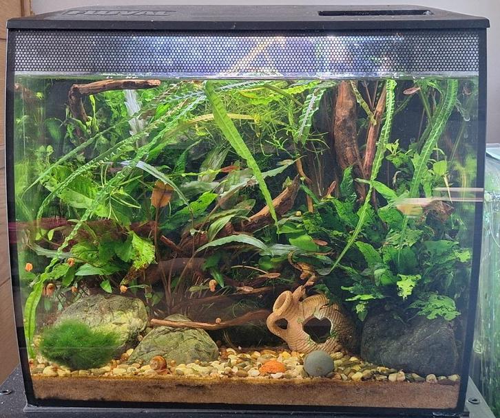 Fluval flex aquarium in zeer goede staat, Dieren en Toebehoren, Vissen | Aquaria en Toebehoren, Ophalen of Verzenden