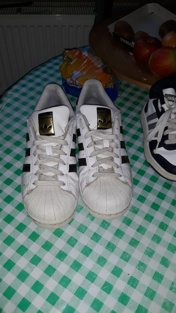 allerlei  schoenen en basketters, Kleding | Dames, Schoenen, Zo goed als nieuw, Sportschoenen, Overige kleuren, Ophalen of Verzenden