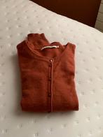 Xandres Cashmere Small, Kleding | Dames, Truien en Vesten, Ophalen of Verzenden