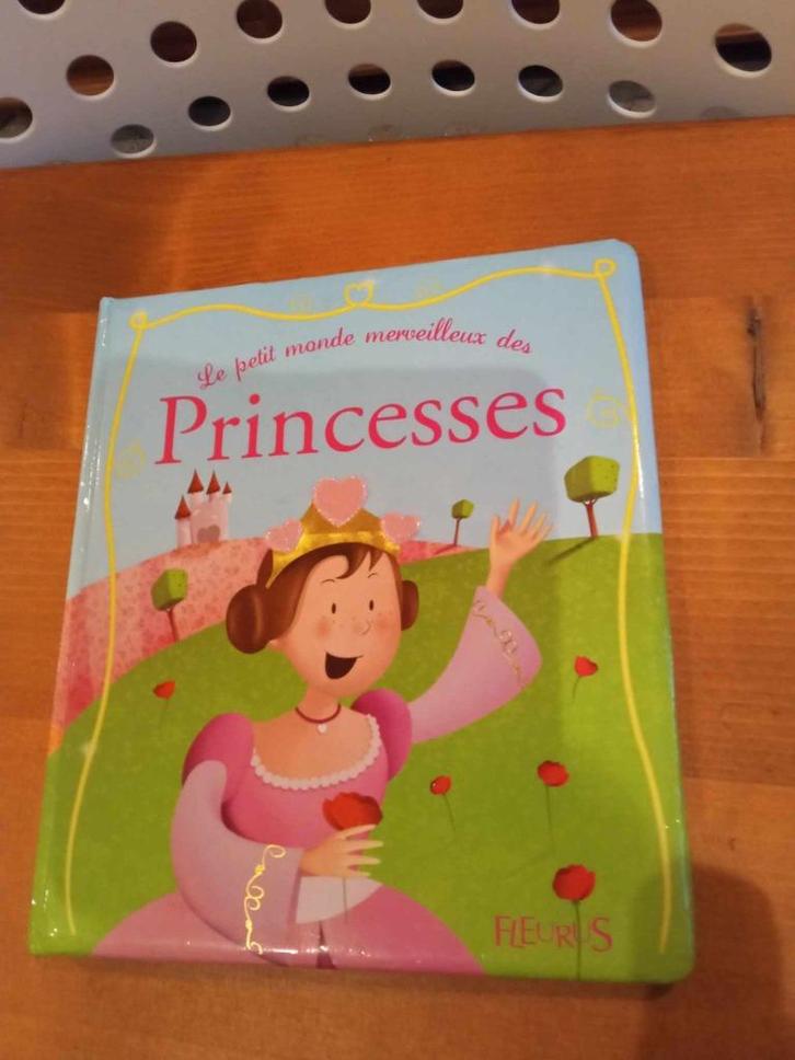 Livre "le petit monde merveilleux des princesses", Boeken, Kinderboeken | Kleuters, Zo goed als nieuw, Sprookjes, 5 of 6 jaar