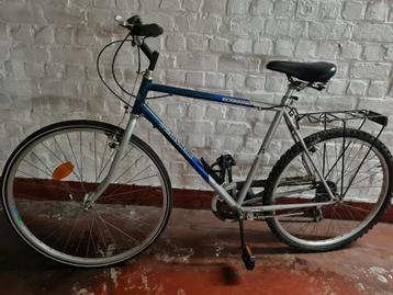 Herenfiets dumenceau  fiets werkt niet beschikbaar voor biedingen